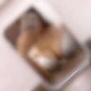 ヒメ日記 2026/07/23 11:31 投稿 にこ 奥様さくら難波店