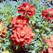 ヒメ日記 2026/08/15 22:45 投稿 りお You&Me