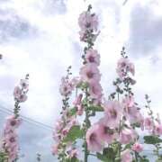 ヒメ日記 2026/09/02 08:22 投稿 笹原ゆり メイドin中野（東京ハレ系）