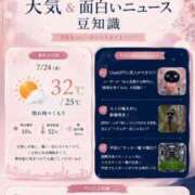 ヒメ日記 2026/07/24 07:43 投稿 みあ CECIL