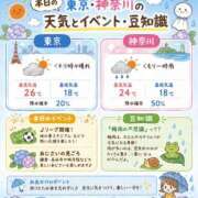 ヒメ日記 2026/07/26 07:21 投稿 みあ CECIL