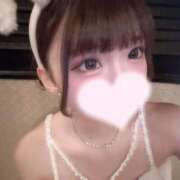 ヒメ日記 2026/06/26 13:54 投稿 うずら I❤HIMEJI（アイラブ姫路）
