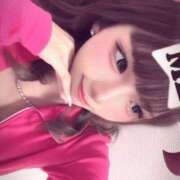 うずら 夏の思い出作りましょおおお！ I❤HIMEJI（アイラブ姫路）