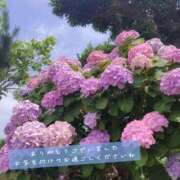 ヒメ日記 2026/06/25 16:35 投稿 うい 奥鉄オクテツ神奈川店（デリヘル市場グループ）