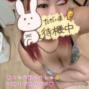 ヒメ日記 2026/07/28 16:20 投稿 花【はな】 丸妻 西船橋店