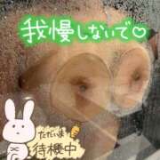 ヒメ日記 2026/08/15 16:13 投稿 花【はな】 丸妻 西船橋店