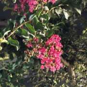 ヒメ日記 2026/08/20 12:03 投稿 べに GODZUMA（ゴッヅマ）