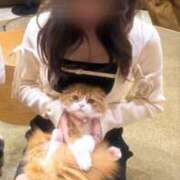 ヒメ日記 2026/07/17 11:54 投稿 本田ひまり JKリフレ東京 秋葉原本店