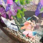 ヒメ日記 2026/08/29 12:44 投稿 菫かのん Finemotion