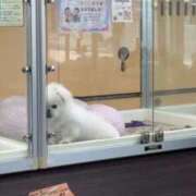 ヒメ日記 2026/10/08 07:34 投稿 うゆ ルーフ福井