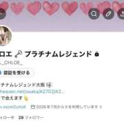 クロエ・天然Ⅰカップ ご報告🎀 Platinum Legend(プラチナムレジェンド)