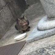 ヒメ日記 2026/06/20 06:37 投稿 アケミ秘書 秘書の品格 クラブアッシュ ヴァリエ