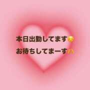 ヒメ日記 2026/07/24 08:04 投稿 ゆうか プリティラビット