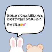 ヒメ日記 2026/08/10 08:13 投稿 ゆうか プリティラビット
