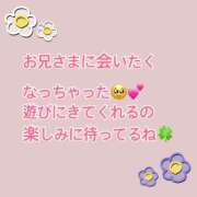 ゆうか 本日出勤！！ プリティラビット
