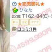 ひなた 🈵完売御礼 激安ドットコム