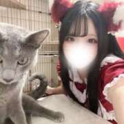 ヒメ日記 2026/07/01 19:49 投稿 ゆの 恵比寿ニューヨーク