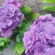 とうり 🐝🌸◦°蒸し暑い··· 小田原人妻城