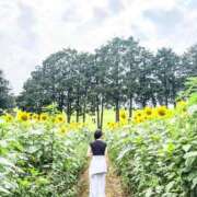 ヒメ日記 2026/08/04 13:12 投稿 椿伊織(つばきいおり) 東京ヒストリー　秘密の約束
