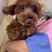 ヒメ日記 2026/07/13 15:36 投稿 あかり モアグループ熊谷人妻花壇