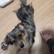 ヒメ日記 2026/07/20 19:06 投稿 あかり モアグループ熊谷人妻花壇