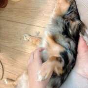 ヒメ日記 2026/07/26 10:22 投稿 あかり モアグループ熊谷人妻花壇