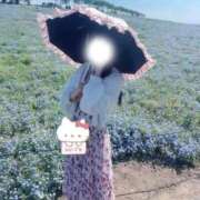 ヒメ日記 2026/06/21 08:02 投稿 心美【ココミ】 ピンクコレクション尼崎店