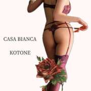 ヒメ日記 2026/10/08 10:48 投稿 志乃塚 琴音 CASA BIANCA（カーサ・ビアンカ）