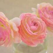 穂乃花（ほのか） お礼💌 ROYAL FACE FUKUOKA