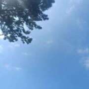 ヒメ日記 2026/06/21 14:45 投稿 みらい 横浜人妻ヒットパレード（シンデレラグループ）