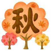 ヒメ日記 2026/10/11 21:59 投稿 みらい 横浜人妻ヒットパレード（シンデレラグループ）