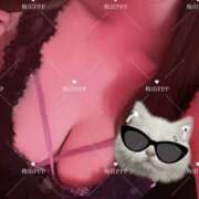 ヒメ日記 2026/07/23 23:21 投稿 るか VIVID CREW Pink Party Paradise