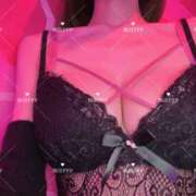 ヒメ日記 2026/10/14 16:50 投稿 るか VIVID CREW Pink Party Paradise