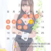 ヒメ日記 2026/06/26 23:16 投稿 うらら TOKYO BUNNYS CLUB