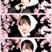 ヒメ日記 2026/07/01 13:33 投稿 うらら TOKYO BUNNYS CLUB