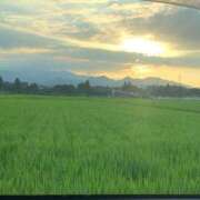 ヒメ日記 2026/08/05 18:42 投稿 山口ましろ HANABI(福富町)