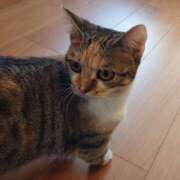 ヒメ日記 2026/09/24 18:47 投稿 猫田はな アラフォーna奥様 アラフィフna奥様（埼玉ハレ系）
