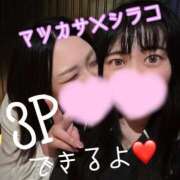ヒメ日記 2026/06/18 20:08 投稿 しらこ 女の子市場