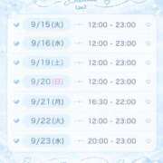 ヒメ日記 2026/09/14 14:46 投稿 結花-yuka-業界経験激浅 虜SPA 横浜店