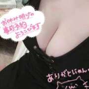 ヒメ日記 2026/09/17 08:36 投稿 ミク Aube