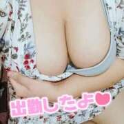ヒメ日記 2026/07/05 12:13 投稿 まりあ 白いぽっちゃりさん