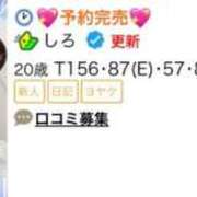 ヒメ日記 2026/06/22 11:03 投稿 しろ アロー