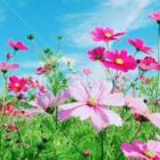 ヒメ日記 2026/07/03 12:16 投稿 山内みこと ABC 岩手ソープ
