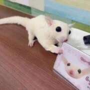 ヒメ日記 2026/06/21 22:29 投稿 小海老 西川口ちゃんこ