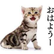 ヒメ日記 2026/06/27 10:26 投稿 りん 大宮おかあさん