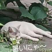ヒメ日記 2026/07/22 08:56 投稿 りん 大宮おかあさん