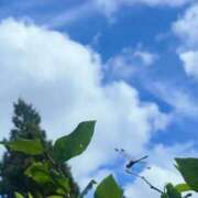 ヒメ日記 2026/08/18 08:56 投稿 涼風　ひかる しこたま奥様 札幌店