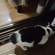 ヒメ日記 2026/08/30 18:54 投稿 東千穂 五十路マダム宇都宮店(カサブランカグループ)