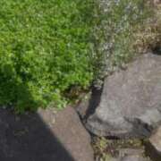 ヒメ日記 2026/06/26 16:53 投稿 葉瀬 ふたば Men's relaxation VEGA