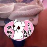 ヒメ日記 2026/07/15 06:30 投稿 ひづき(沼津発) 30分3900円！サンキュー静岡店（サンキューグループ）